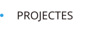 PROJECTES